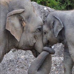 Meet your Posher, Ana